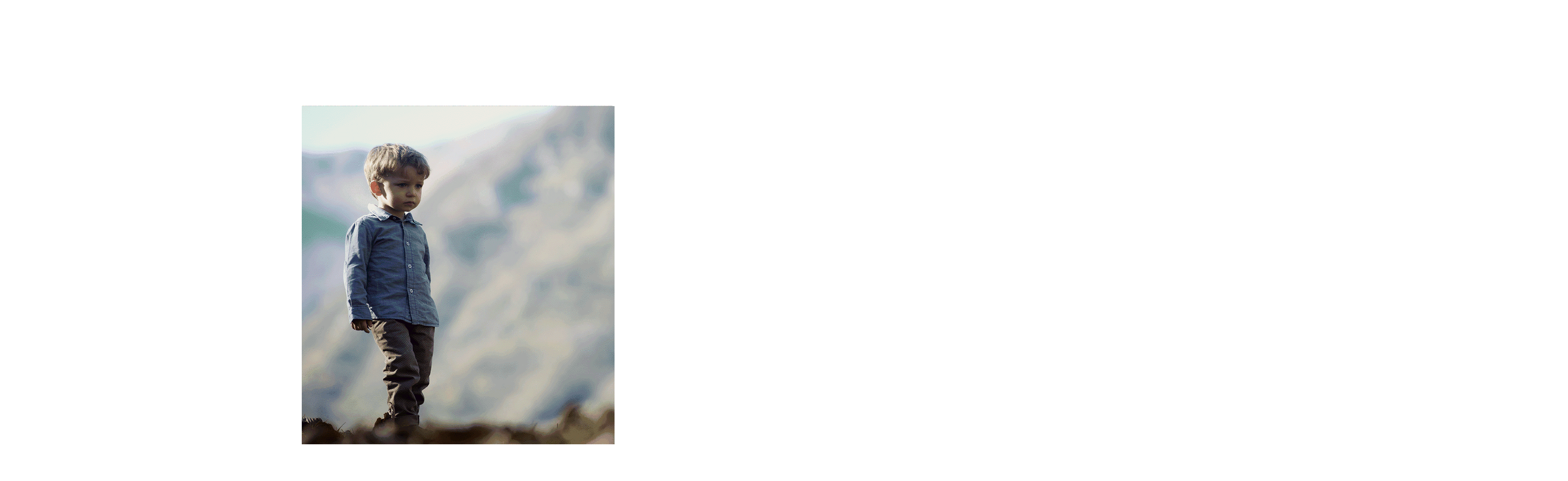 Layer